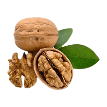 Mulberry Energy Bar